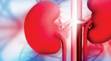 قلة شرب الماء وتأثيره المباشر على صحة الكلى وعلاماته الواضحة